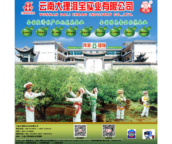 云南網(wǎng)站建設(shè)、昆明網(wǎng)站建設(shè)、云南網(wǎng)站制作、昆明網(wǎng)站制作、云南微網(wǎng)站制作、云南網(wǎng)站優(yōu)化推廣、大理網(wǎng)站建設(shè)、麗江網(wǎng)站建設(shè)、大理網(wǎng)站制作、麗江網(wǎng)站制作、保山網(wǎng)站建設(shè)、德宏網(wǎng)站建設(shè)、文山網(wǎng)站建設(shè)、楚雄網(wǎng)站建設(shè)、紅河網(wǎng)站建設(shè)、云南政府網(wǎng)站建設(shè)、普洱網(wǎng)站建設(shè)